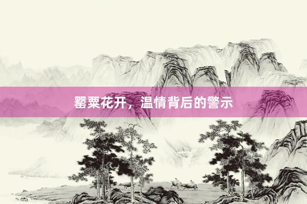 罂粟花开，温情背后的警示